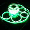 Russell Decor LED Neon Rope Lights Flexible Waterproof SMD Tube Lights (Green, 100 FT) view 1