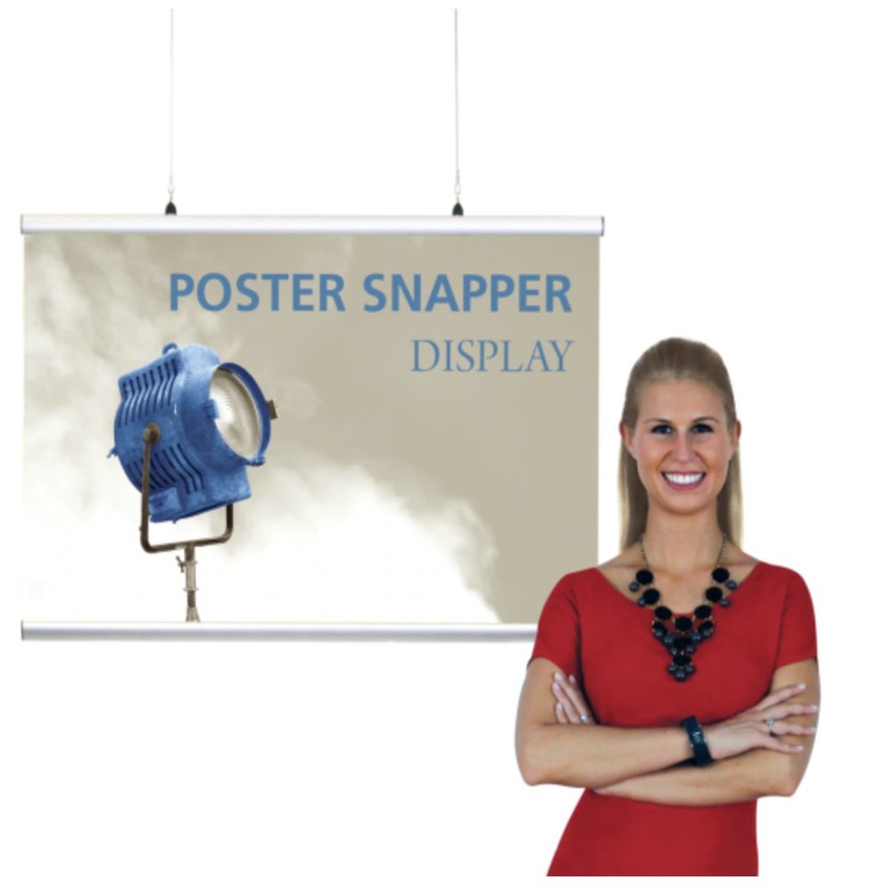 Display America Poster Snapper