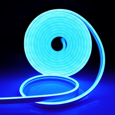 XUNATA 328ft LED Neon Rope Light, Waterproof Blue Tube DC 12V 12000 LEDs SMD 2835 Flexible LED Neon Lights for Garden Patio Party Christmas Thanksgiving Outdoor Decoration (Blue)