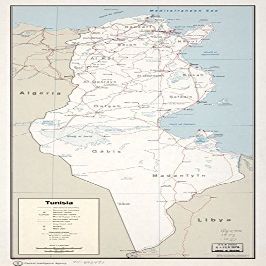 12" x 24" 1972 Map Of Tunisia Airfields Major Ports