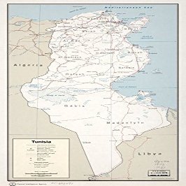 12" x 24" 1972 Map Of Tunisia Airfields Major Ports