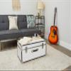 Seward Trunk Basic 30" Trunk - White Storage Chest with Latches & Handle view 2