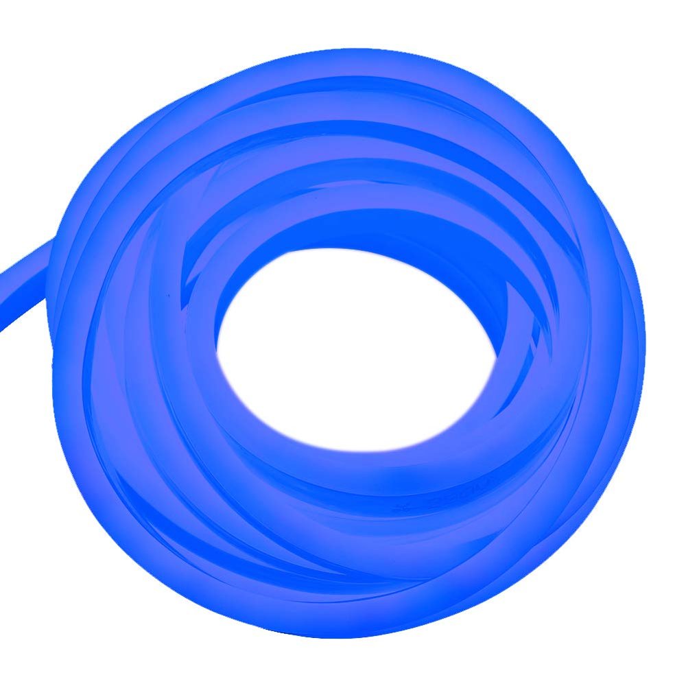 XUNATA 66ft LED Rope Neon Light, 110V Waterproof Flexible US Plug 2400 Units SMD 2835 LED Strip Lights for Home Indoor Outdoor Decoration (Blue)
