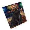 4th of July Independence Day Firework Black Cat Large Refrigerator/Dishwasher Magnet RMAG72612 (8.7" x 11.5") view 1