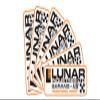 Asset Tag: Lunar Industries Ltd view 1