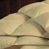 RBS Bedding's 650 Thread Count 1pc Comforter (300 GSM Microfiber Fill Box Stitched) Twin/Single Bed Size(64 x 86 inches), Beige Stripe 100% Egyptian Cotton view 3