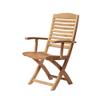 Arb Teak & Specialties Teak Armchair Folding Chair Manhattan, Natural view 1