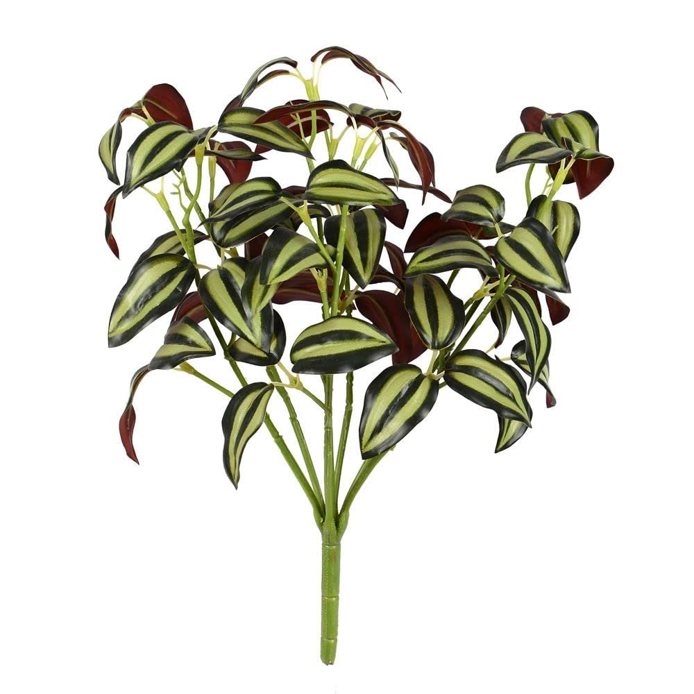 12.5 Green Wandering Jew Bush 3/Pk