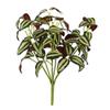 12.5 Green Wandering Jew Bush 3/Pk view 1