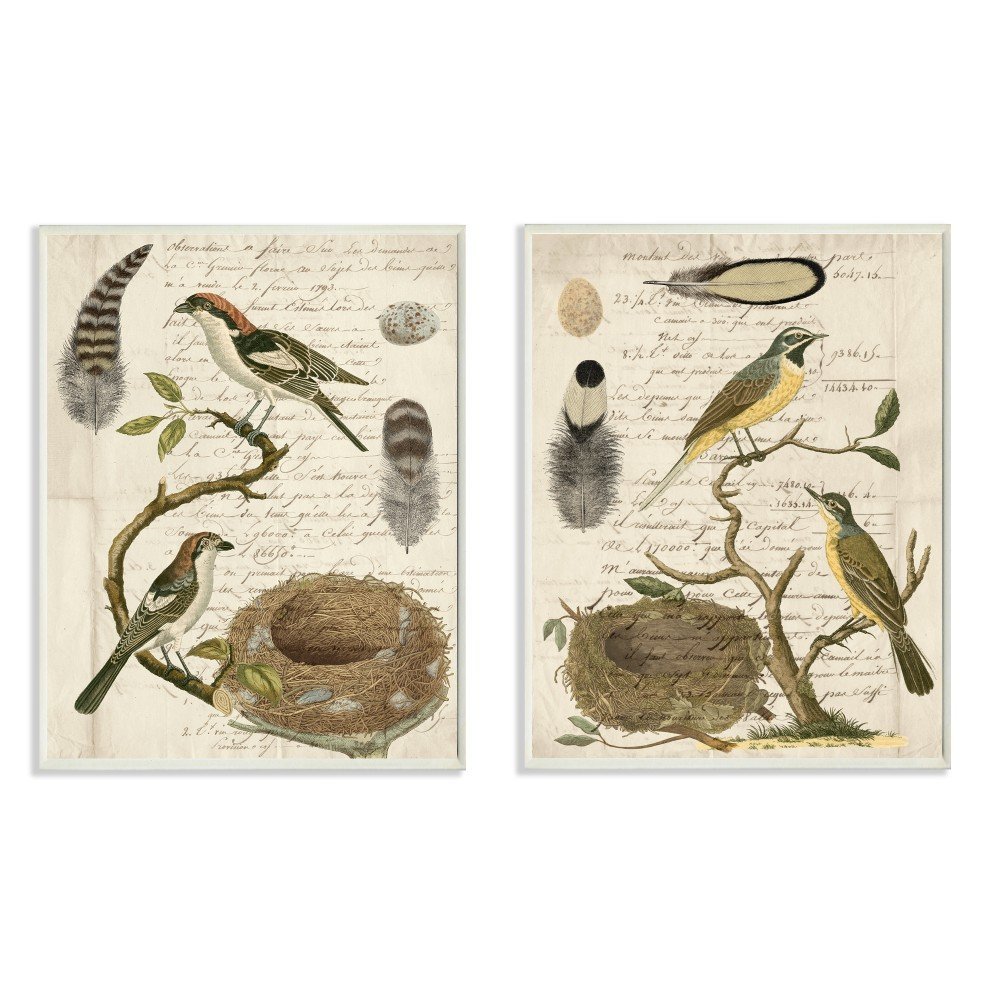 Stupell Industries Avian Journal Bird Illustrations Wall Plaque, 2pc Each 10 x 15, Multi-Color