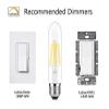 6PACK LED Filament Bulb Tubular Light Bulb T10 6W, E26 Base, Clear Warm White 2700K, LED Edison Bulb 50W Equivalent, 110-120VAC, Dimmable (6) view 3