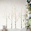 Raz 30 Inch Lighted Birch Grove NEW with Twinkle Lights and Steady Functions, Indoor/Outdoor view 1
