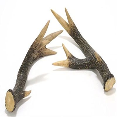 Distinctive Designs DW-602 16 x 8 x 4.5 in. Whitetail Deer Horn44; Brown & White - Pack of 2