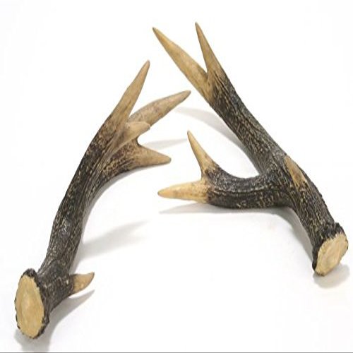 Distinctive Designs DW-602 16 x 8 x 4.5 in. Whitetail Deer Horn44; Brown & White - Pack of 2