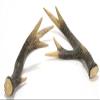 Distinctive Designs DW-602 16 x 8 x 4.5 in. Whitetail Deer Horn44; Brown & White - Pack of 2 view 1