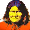 Gifts Delight Laminated 16x16 Poster: Geronimo 384 - Andy Warhol view 1