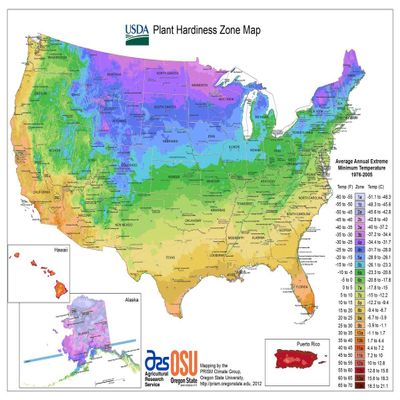 Gifts Delight Laminated 31x24 Poster: Climate Map - ClimateZone Maps of The United States
