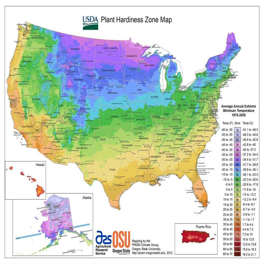 Gifts Delight Laminated 31x24 Poster: Climate Map - ClimateZone Maps of The United States