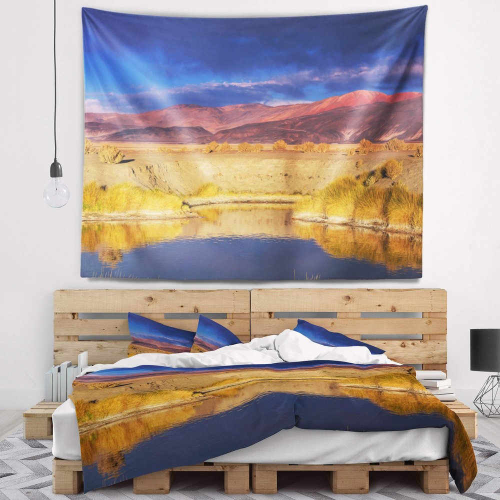 Designart ' Beautiful Northern Argentina View' African Landscape Tapestry Blanket Dcor Wall Art for Home and Office x Large: 92 in. x 78 in