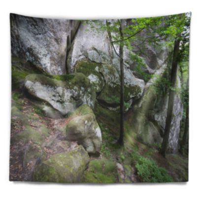 Designart ' Deep Moss Forest with Rocks' Landscape Tapestry Blanket Dcor Wall Art for Home and Office Large: 60 in. x 50 in