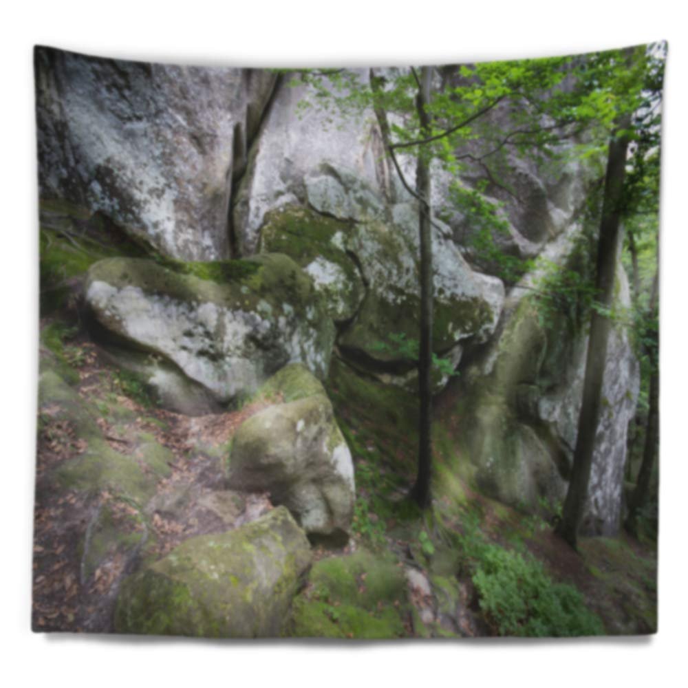Designart ' Deep Moss Forest with Rocks' Landscape Tapestry Blanket Dcor Wall Art for Home and Office Large: 60 in. x 50 in