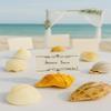 Pack of 12- Starfish Place Card Holders, Beach Wedding Table Number Holders, Nautical Escort Card Stands, Shell Name Card Holders, Marine Wedding Menu Holders, Tropical Reception Table Accents view 3