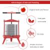 EJWOX Fruit Wine Press 3.69 Gal - Heavy-duty T-Handle & Cross-beam, Stainless Steel Juice Maker for Apple, Grape, Home Brewing view 4