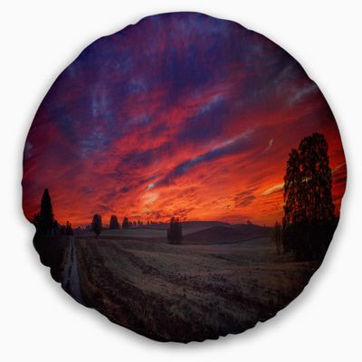 Designart Gorgeous Cloudy Sky During Fall' Landscape Throw Living Room, Sofa, High Quality Pillow Insert + Cushion Cover Printed On Both Side 20" Round