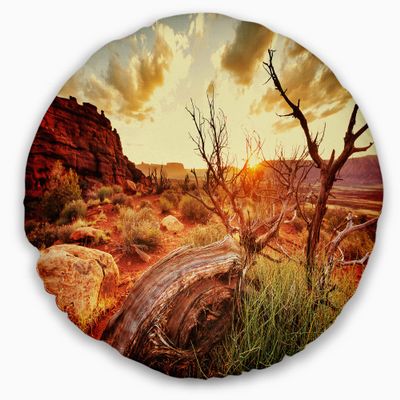 Designart Colorful Fall American Prairie' Landscape Printed Throw Cushion Pillow Cover for Living Room, Sofa 20" Round