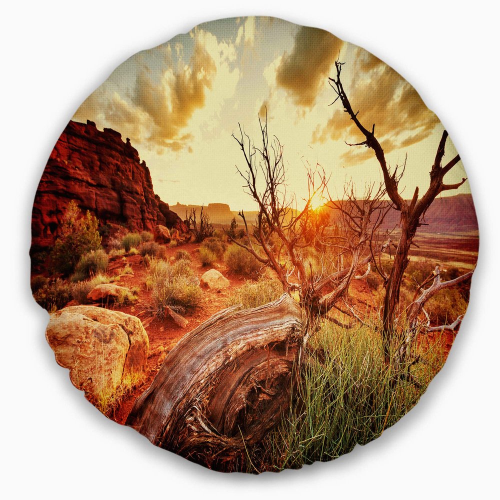 Designart Colorful Fall American Prairie' Landscape Printed Throw Cushion Pillow Cover for Living Room, Sofa 20" Round