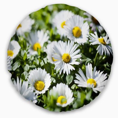 Designart Spring Background with White Flowers' Floral Throw Living Room, Sofa, High Quality Pillow Insert + Cushion Cover Printed On Both Side 20" Round