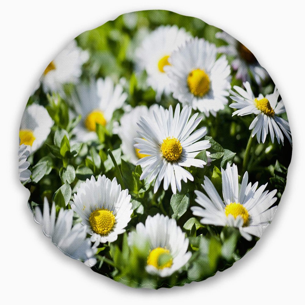 Designart Spring Background with White Flowers' Floral Throw Living Room, Sofa, High Quality Pillow Insert + Cushion Cover Printed On Both Side 20" Round
