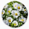 Designart Spring Background with White Flowers' Floral Throw Living Room, Sofa, High Quality Pillow Insert + Cushion Cover Printed On Both Side 20" Round view 1