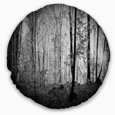 Designart Beautiful Forest Morning Panorama' Landscape Throw Living Room, Sofa, High Quality Pillow Insert + Cushion Cover Printed On Both Side 20" Round