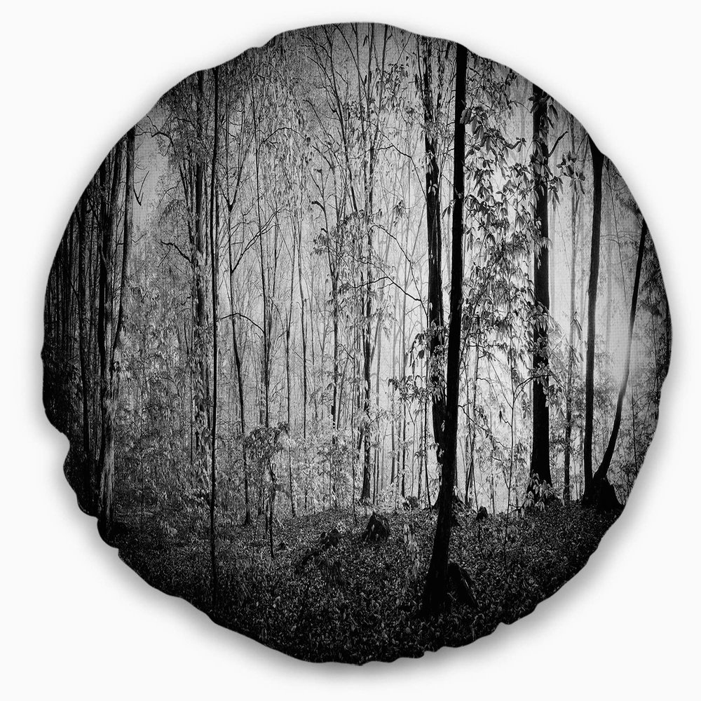 Designart Beautiful Forest Morning Panorama' Landscape Throw Living Room, Sofa, High Quality Pillow Insert + Cushion Cover Printed On Both Side 20" Round