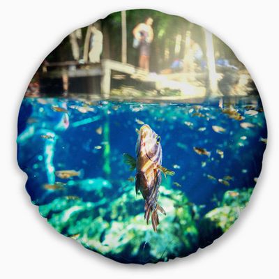 Designart Large Fish in Ik Kil Cenote Mexico' Landscape Wall Throw Living Room, Sofa, High Quality Pillow Insert + Cushion Cover Printed On Both Side 20" Round