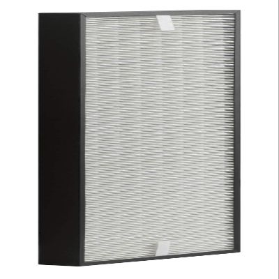 Rowenta XD6074 HEPA Filter (Replaces part number XD6070)