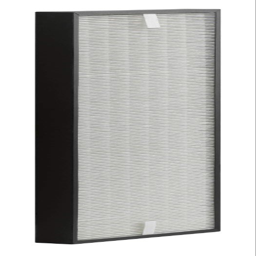 Rowenta XD6074 HEPA Filter (Replaces part number XD6070)