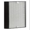 Rowenta XD6074 HEPA Filter (Replaces part number XD6070) view 1