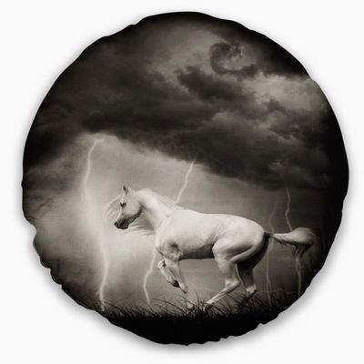 Designart White Horse Under Thunder Sky' Animal Throw Cushion Pillow Cover for Living Room, Sofa 20" Round