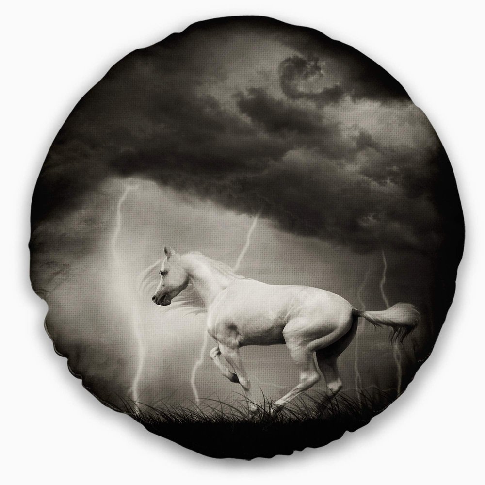Designart White Horse Under Thunder Sky' Animal Throw Cushion Pillow Cover for Living Room, Sofa 20" Round