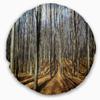 Designart Shade from Sun in Autumn Modern Forest Throw Cushion Pillow Cover for Living Room, Sofa 20" Round view 1