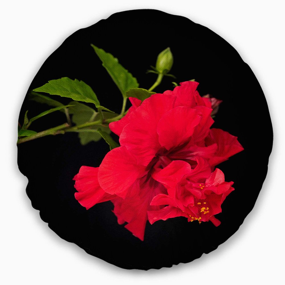 Designart Bright Red Hibiscus on Black' Floral Throw Cushion Pillow Cover for Living Room, Sofa 20" Round