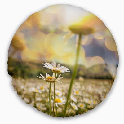 Designart Amazing Chamomile Flower Field' Floral Throw Living Room, Sofa, High Quality Pillow Insert + Cushion Cover Printed On Both Side 20" Round