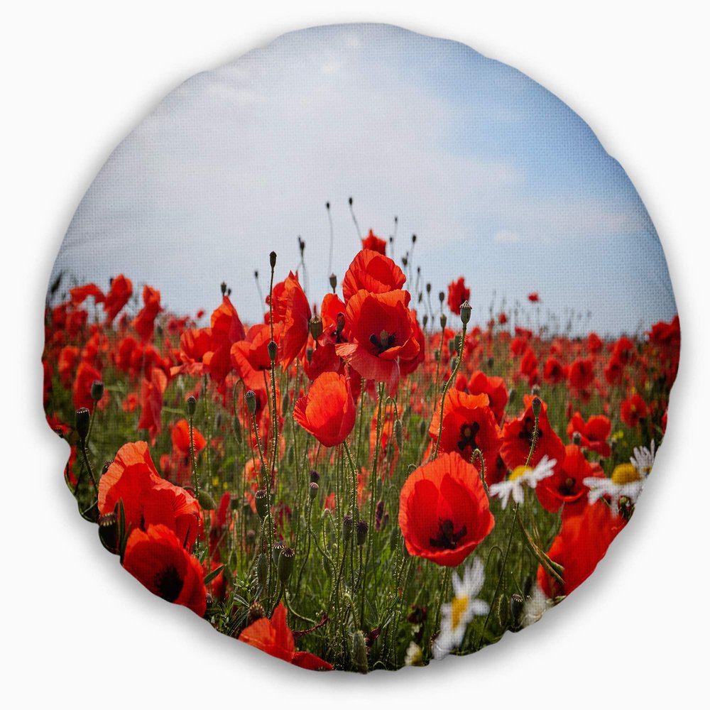 Designart Red Poppies Under Bright Blue Sky' Flower Throw Living Room, Sofa, High Quality Pillow Insert + Cushion Cover Printed On Both Side 20" Round