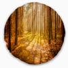 Designart Bright Sunlight in Yellow Fall Modern Forest Throw Living Room, Sofa, High Quality Pillow Insert + Cushion Cover Printed On Both Side 20" Round view 1