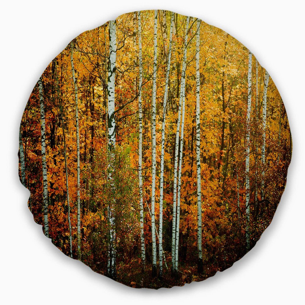 Designart Yellow Colorful Autumn Forest Throw Living Room, Sofa, High Quality Pillow Insert + Cushion Cover Printed On Both Side 20" Round