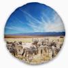 Designart Herd of Zebras Under Blue Sky' African Throw Cushion Pillow Cover for Living Room, Sofa 20" Round view 1