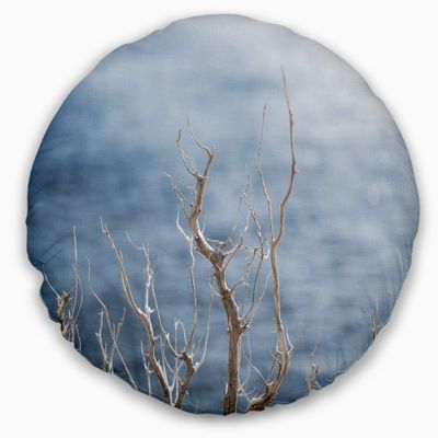 Designart Leafless Winter Branches' Landscape Throw Living Room, Sofa, High Quality Pillow Insert and Cushion Cover Printed 20" Round