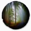 Designart Fall Forest' Landscape Printed Throw Cushion Pillow Cover for Living Room, Sofa 20" Round view 1